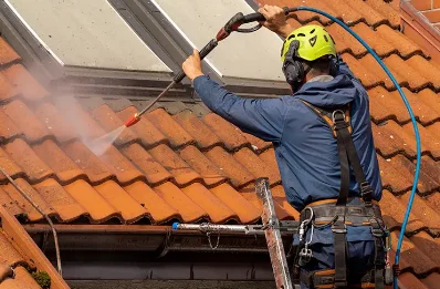 Démoussage et hydrofuge de toiture à Goudon